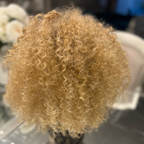SOLD-Kinky Curly 4B-4C Texture Lace Front Wig Color #T4/27 Honey Blonde! - Picture 7 of 9
